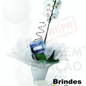Orquídea